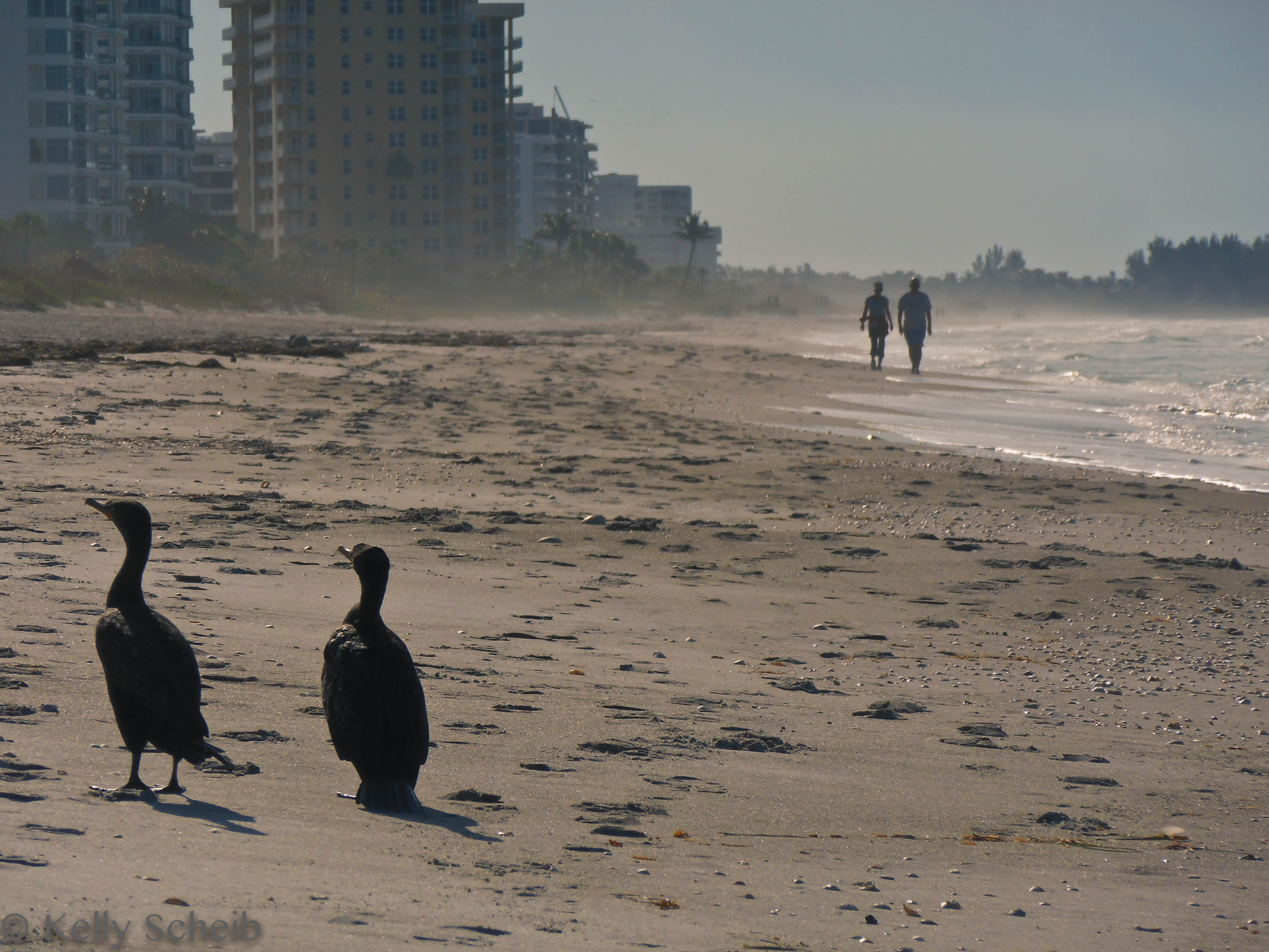 Time for a stroll...