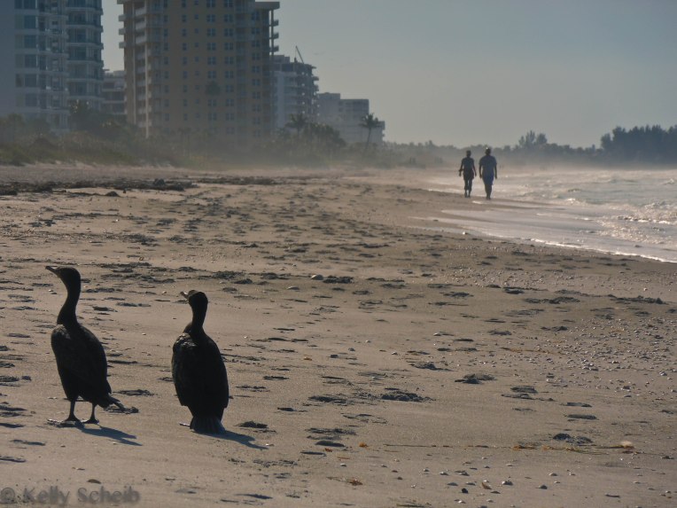 Time for a stroll...