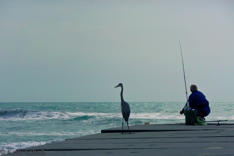 Today's word, Patience...